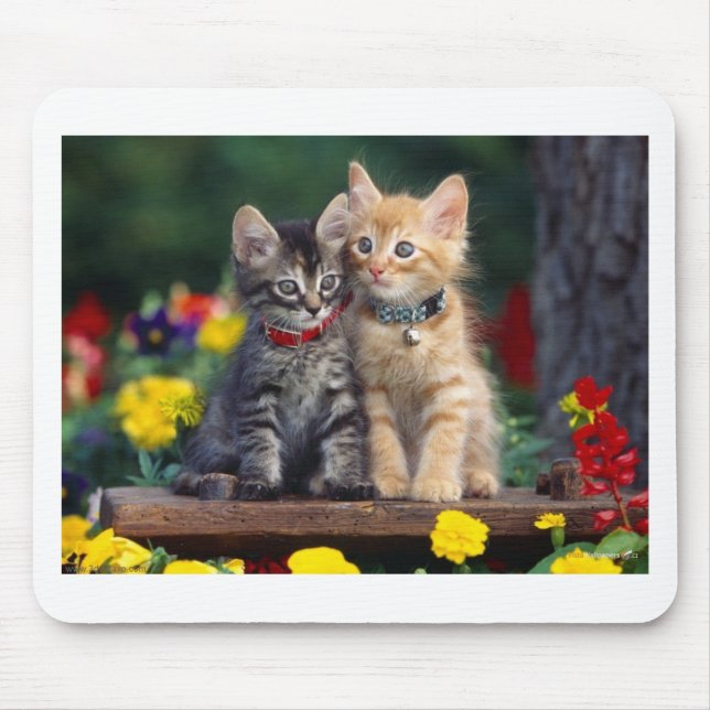 Bästa vän musmatta (Framsidan)