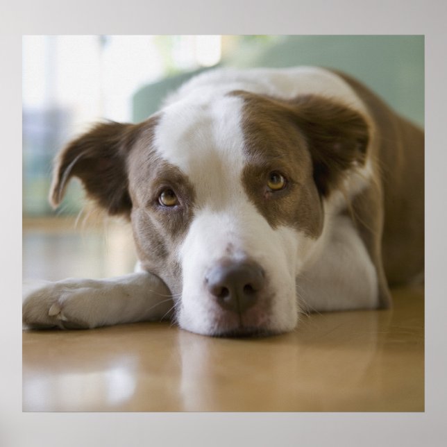 Bästa vän poster (Framsidan)