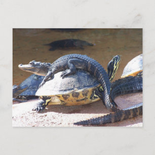 Bästa vän vykort