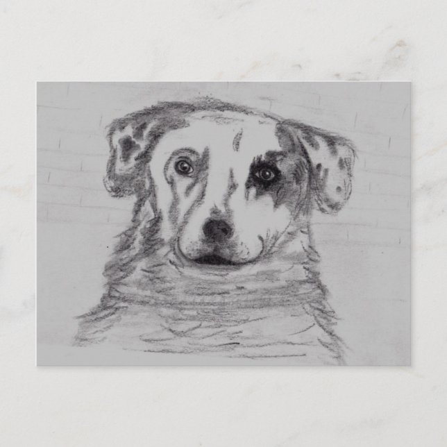 Bästa vän vykort (Framsida)