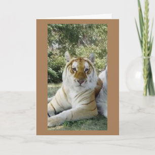 **BÄSTA VÄNNEN** SERIÖS BIRTHDAY ÖNSKEMÅL KORT