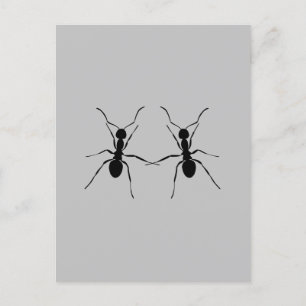 Bästa vänner. Ant Couple Vykort