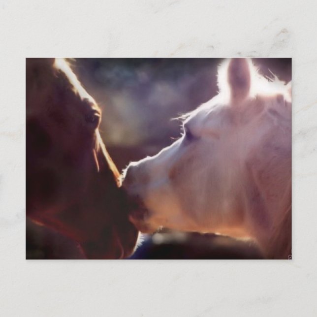 Bästa vänner - ekvationskort vykort (Framsida)