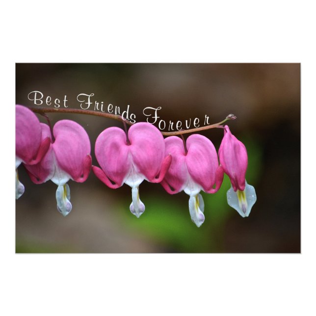 Bästa vänner för alltid fototryck (Framsidan)