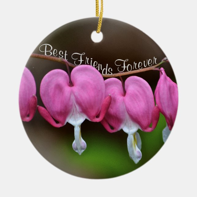 Bästa vänner för alltid julgransprydnad keramik (Framsidan)