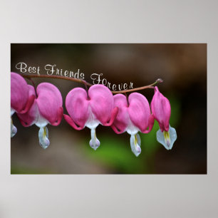 Bästa vänner för alltid poster