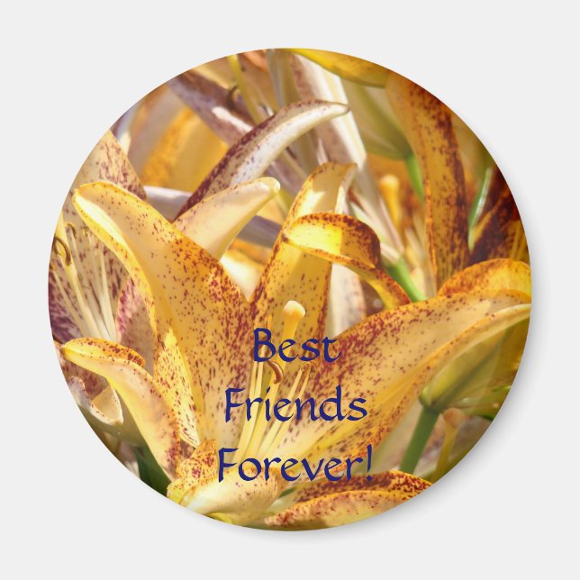 "Bästa vänner för evigt", magnet Orange Lily Flowe (Framsidan)