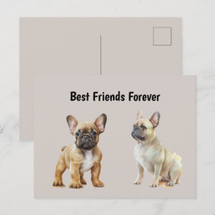 Bästa vänner för Frenchie Hundar Vykort