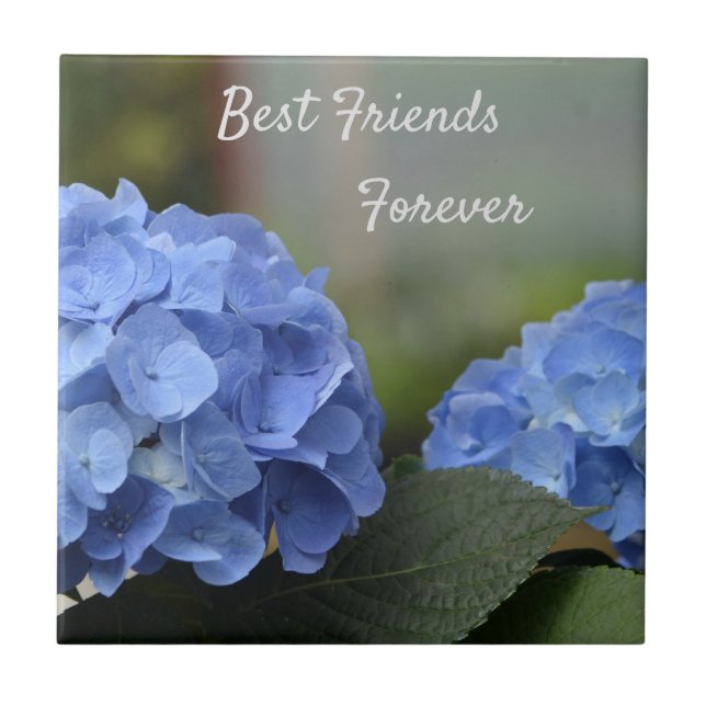 Bästa vänner för Hydrangeas Kakelplatta (Framsidan)