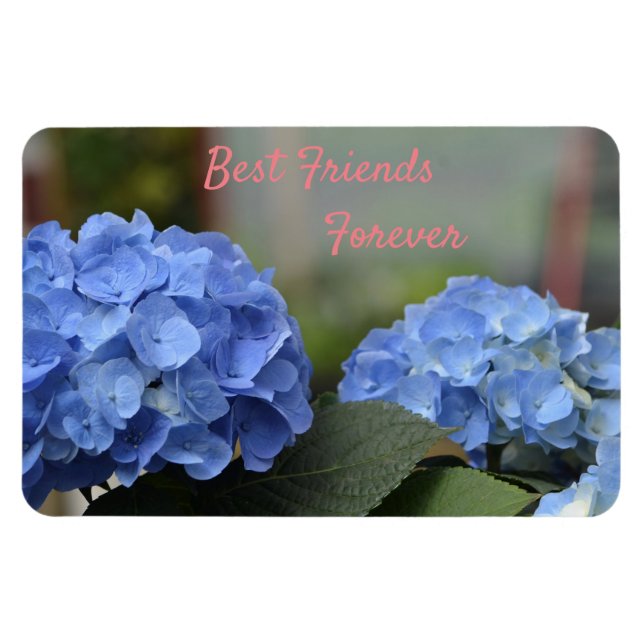 Bästa vänner för Hydrangeas Magnet (Horisontell)
