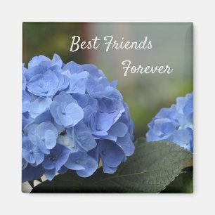 Bästa vänner för Hydrangeas Magnet