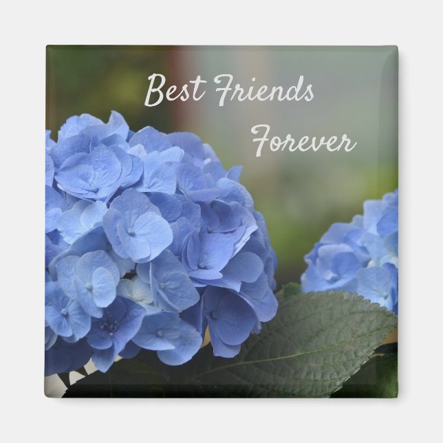 Bästa vänner för Hydrangeas Magnet (Framsidan)