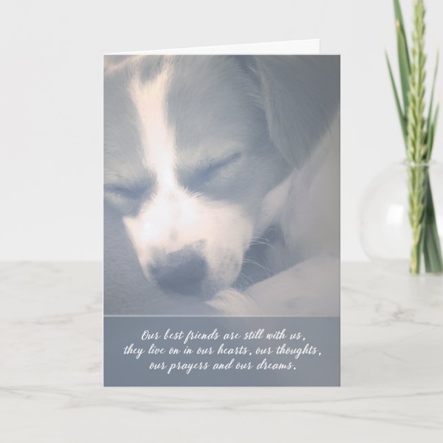 Bästa vänner fortfarande med vårt Hund Sympathy Ca Kort (Framsida)