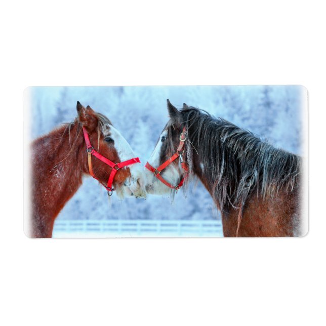 Bästa vänner fraktsedel (Framsidan)