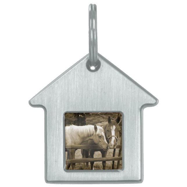 Bästa vänner ID-bricka husdjur (Framsidan)