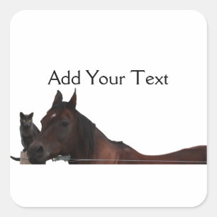 Bästa vänner Kat och Horse Cuddle up Fyrkantigt Klistermärke