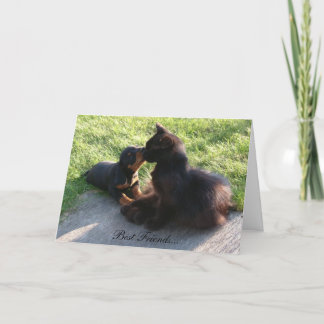 Bästa vänner kort