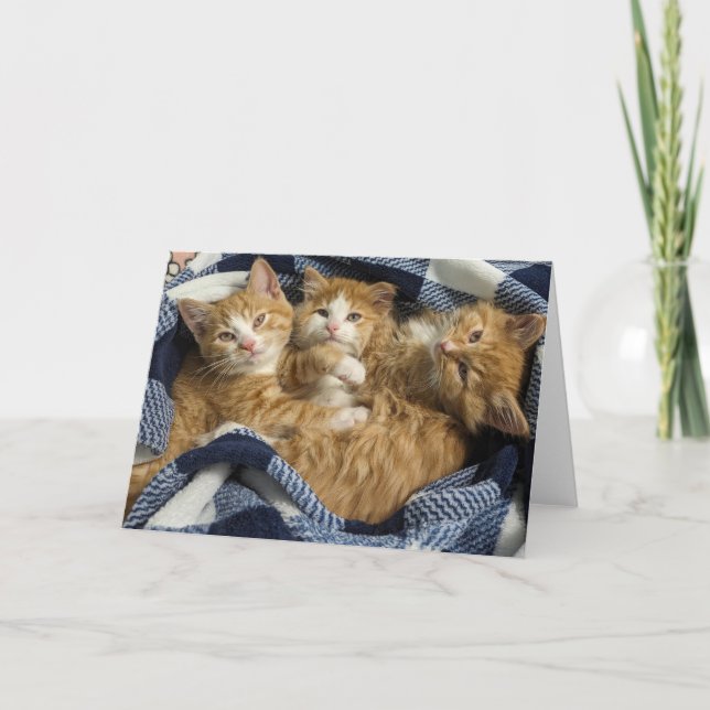 Bästa vänner kort (Framsida)