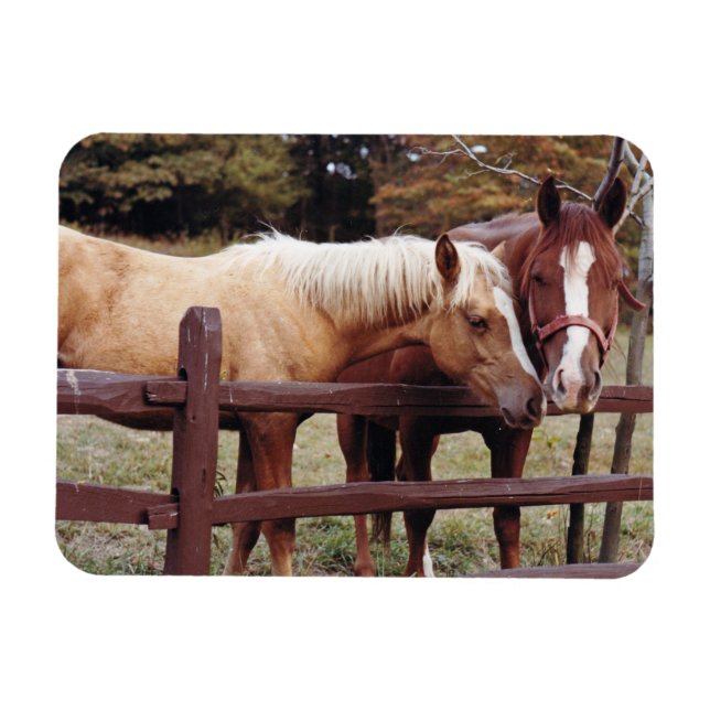 Bästa vänner magnet (Horisontell)