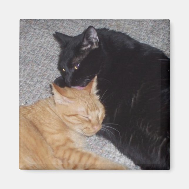 Bästa vänner Magnet (Framsidan)