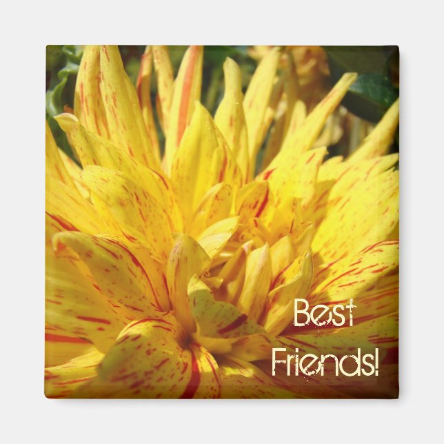 Bästa vänner! magnet Gul Röd Dahlia Blomma (Framsidan)