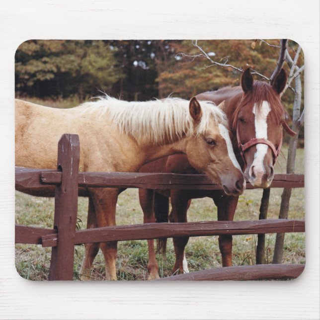 Bästa vänner musmatta (Framsidan)