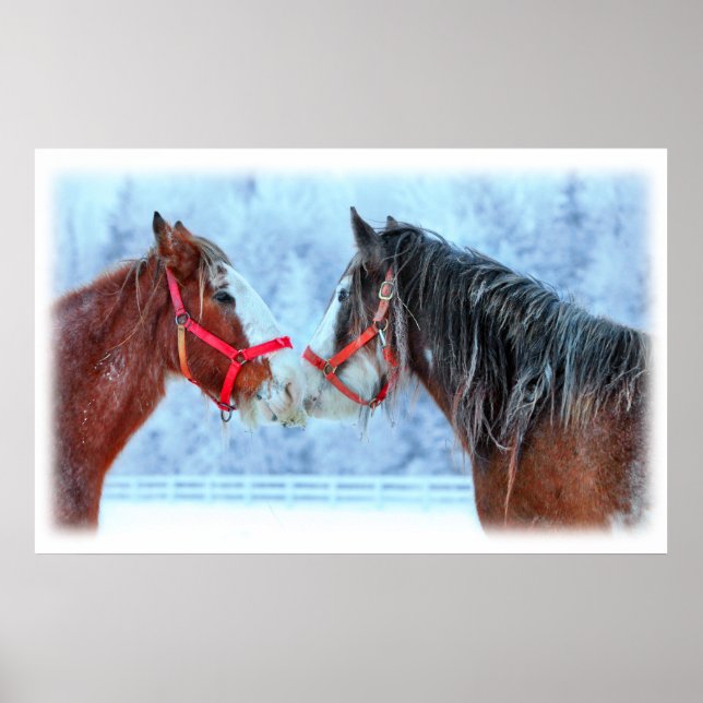 Bästa vänner poster (Framsidan)