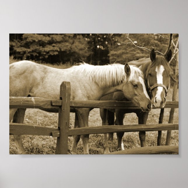 Bästa vänner poster (Framsidan)