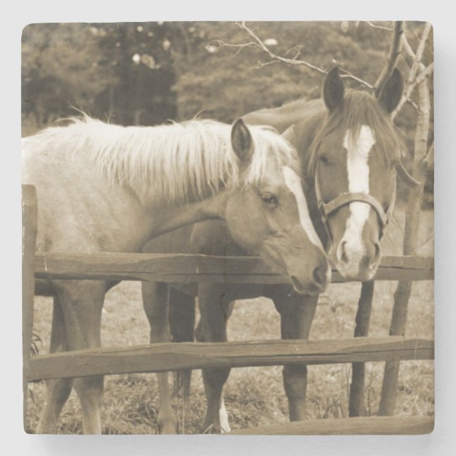 Bästa vänner stenunderlägg (Framsidan)