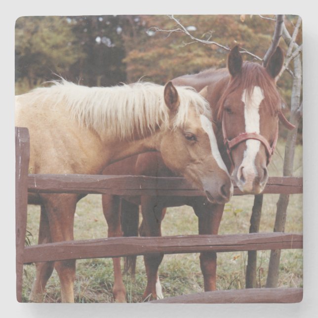 Bästa vänner stenunderlägg (Framsidan)