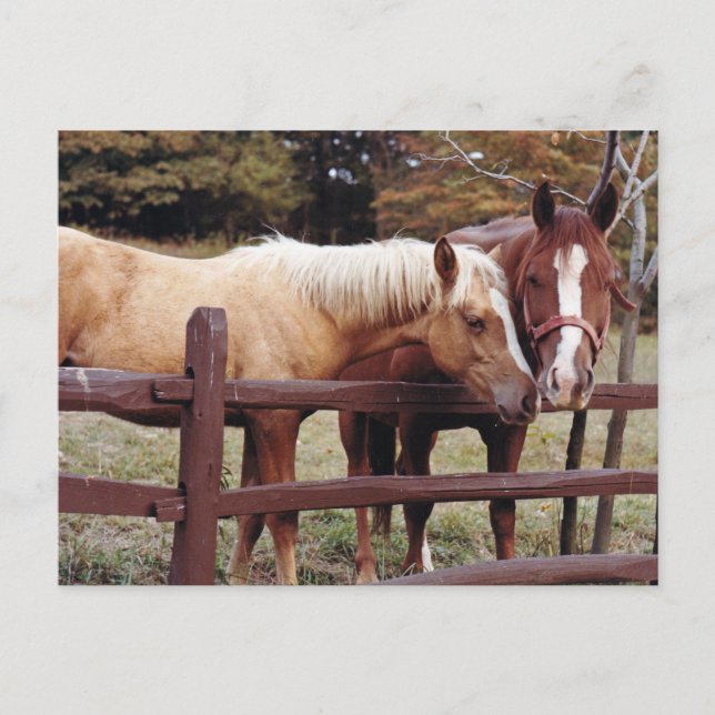 Bästa vänner vykort (Framsida)