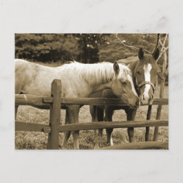 Bästa vänner vykort