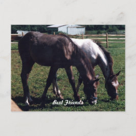 Bästa vänner vykort