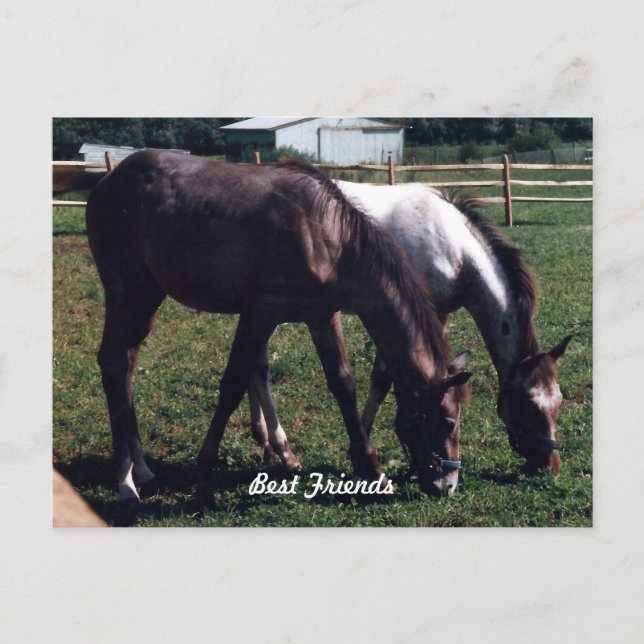 Bästa vänner vykort (Framsida)