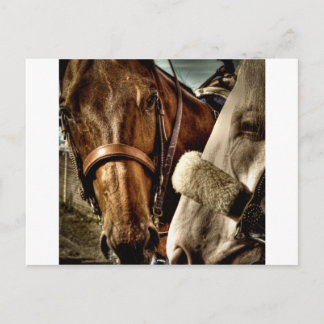 Bästa vänner vykort