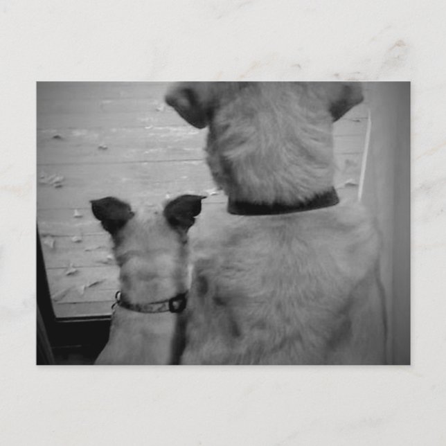 Bästa vänner-vykort vykort (Framsida)