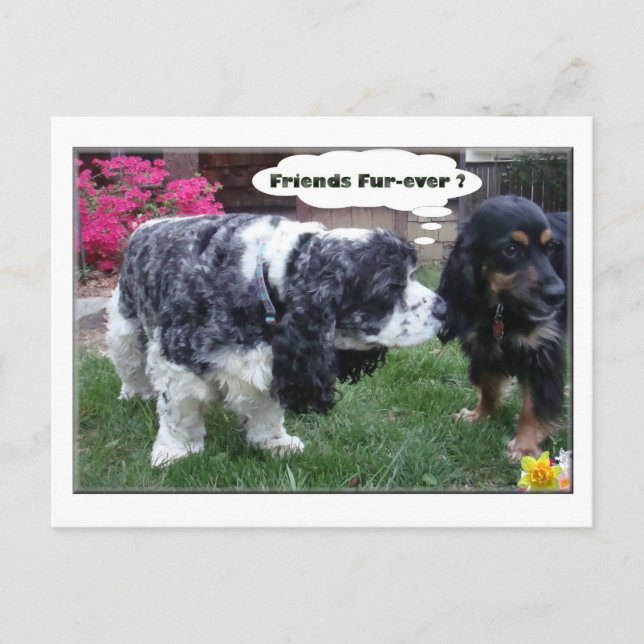 Bästa vänPäls-någonsin Vykort (Framsida)