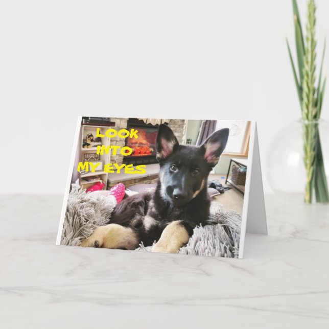 **BÄSTA VETERINÄR NÅGONSIN **GRATTIS PÅ FÖDELSEDAG KORT (Framsida)