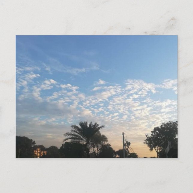 Bästa vykort (Framsida)