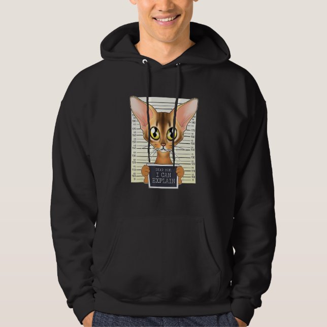 Bäste Mamma I kan förklara att jag Abyssinian Cat  Hoodie (Framsida)