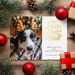 Bäste Santa I provade hund foto roligt jul<br><div class="desc">Skicka det här söta och roligt-helgdag till din familj och dina vänner för att sprida julhälsning. Det här kortet har trendig och modern typografi som lyder "Bästa Santa I verkligen provat" i handskriven typsnitt i golden foil. Lägg till din hund eller katt bild, eller till och med din barn, för...</div>