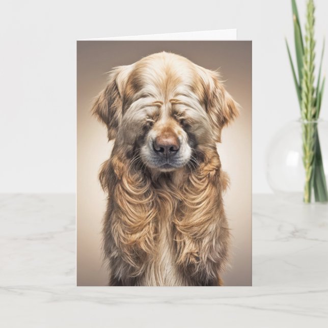 Bastiaan Golden Retriever Kort (Framsida)