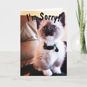 Bastiaan, jag är ledsen Cute Siamese Kitten Kort