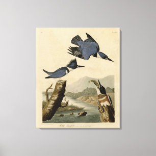 Bastiaan Kingfisher från Audubon's Birds of Americ Canvastryck