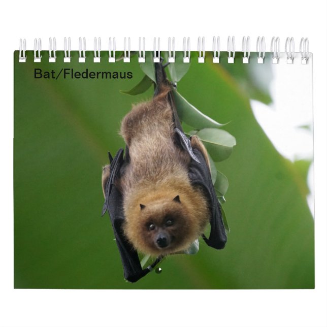 Bat/Fledermaus als Kalender (Omslag)