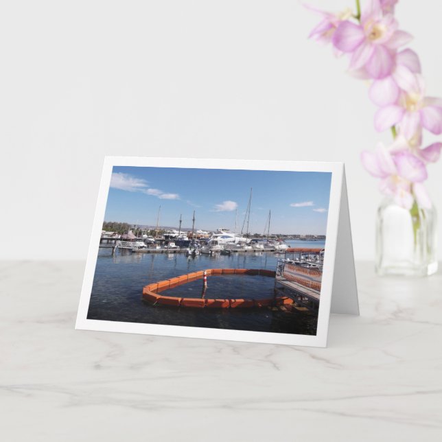 Båt hamn i Pafos, Cypern Kort (Orkide)