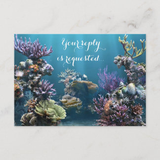 Bat mitzvah OSA i Aquarium
