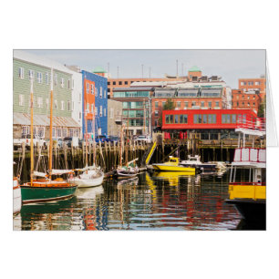 Båt, mognat Portland, Maine Hälsningskort