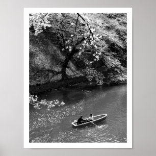 Båt på Chidorigafuchi: Tokyo, Japan Poster