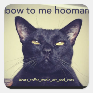 Batcat: bås åt mig som hooman Sticker Fyrkantigt Klistermärke